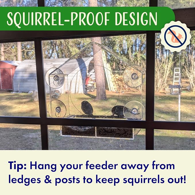 Clear Bird Feeders for Window Viewing Inside - Image 8