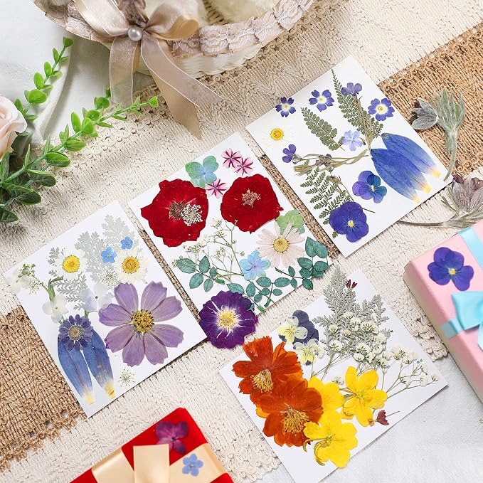 Nuanchu Dried Flower for Resin Crafts Pressed Flowers Bulk, Real Dried - Image 4