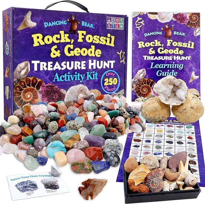 DANCING BEAR Rock, Mineral & Geodes Treasure Hunt Activity Kit Real Shark Teeth by DancingBear