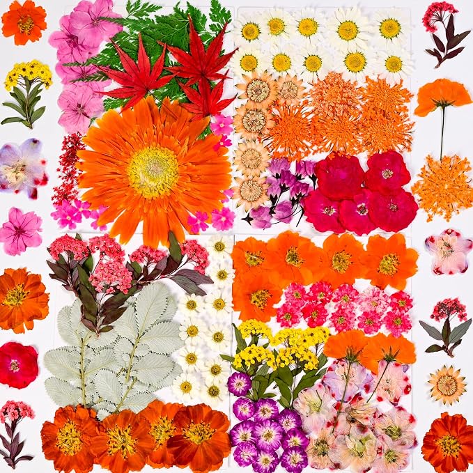 136pcs Dried Flowers for Resin, Dried Pressed Flowers for Crafts Bulk for - Image 2