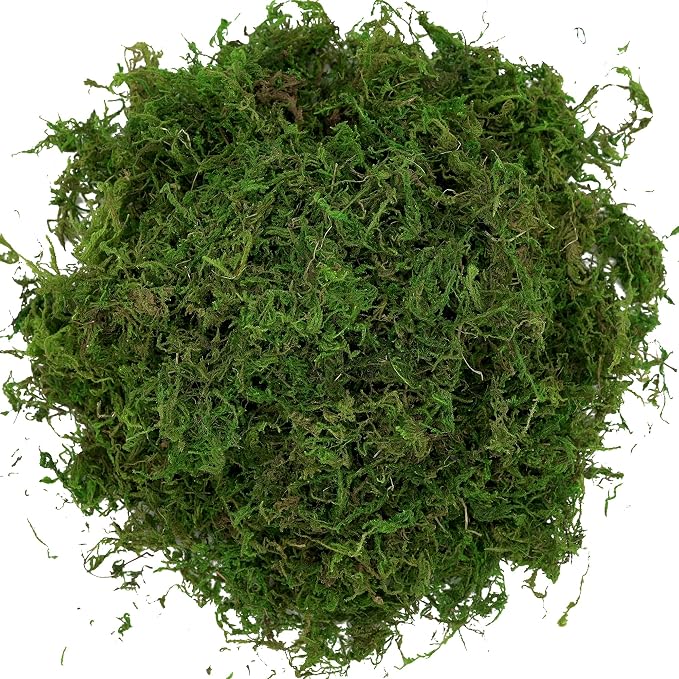 USMOLA Artificial Moss, 16OZ Fake Moss - Image 6