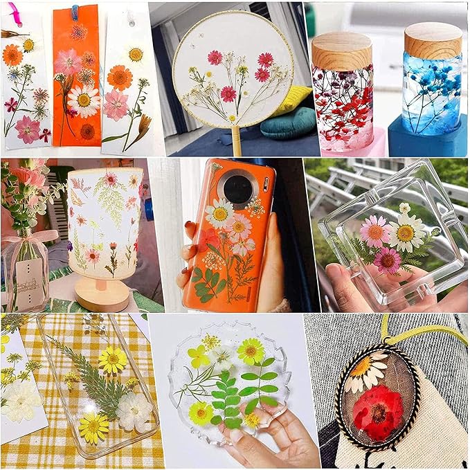 Woohome 160PCS Real Pressed Flowers, Dried Pressed Flowers Colorful Real - Image 8