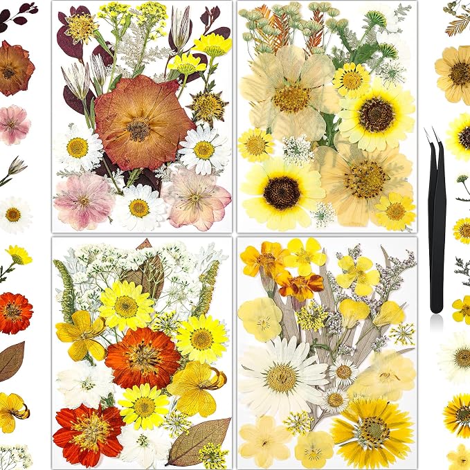 85Pcs Boho Dried Flowers for Crafts, Real Natural Pressed Flowers for Crafts by HLCYGJIN