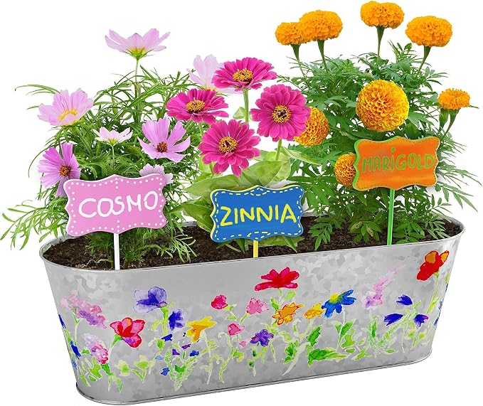 Dan&Darci Paint & Plant Flower Growing Kit - Image 8