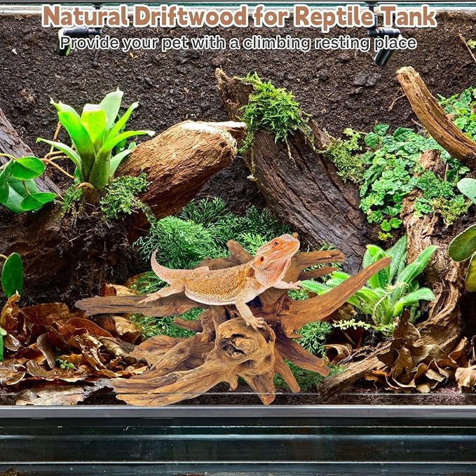 PINVNBY Large Driftwood for Aquarium Fish Tank Decorations Natural Assorted - Image 5