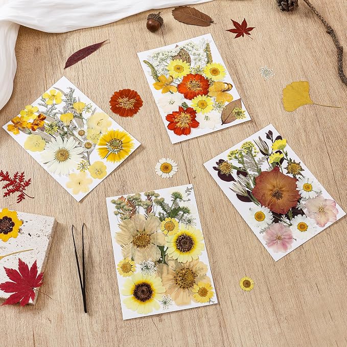 85Pcs Boho Dried Flowers for Crafts, Real Natural Pressed Flowers for Crafts - Image 2